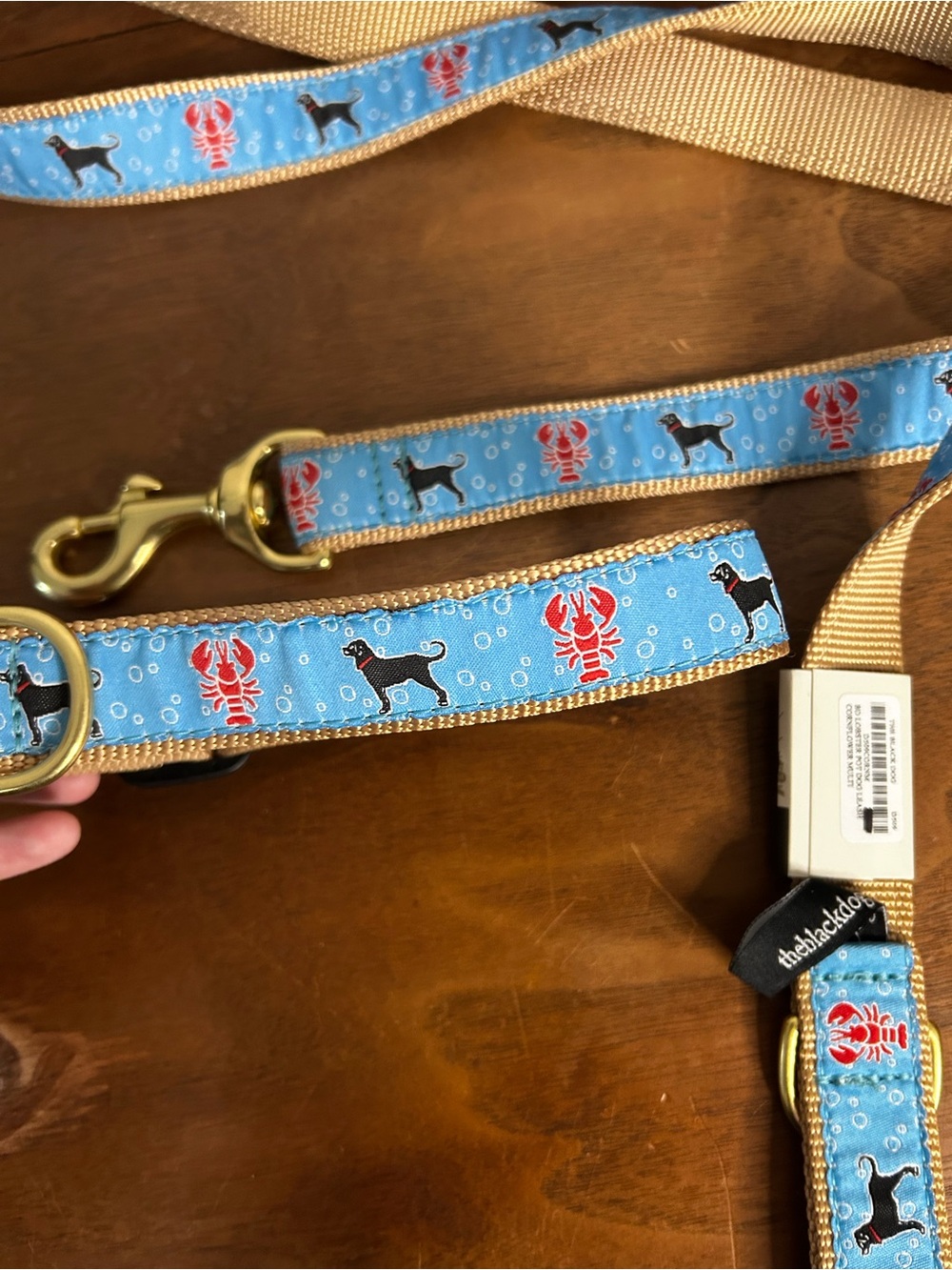 NWT, The Black Dog Lobster & Dog Silhouette Collar and Leash Set - Picture 5 of 7